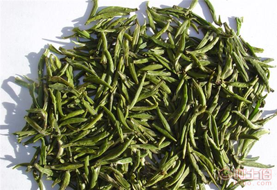 樂昌白毛茶 韶關茶源茶葉專業合作社的匠心之作